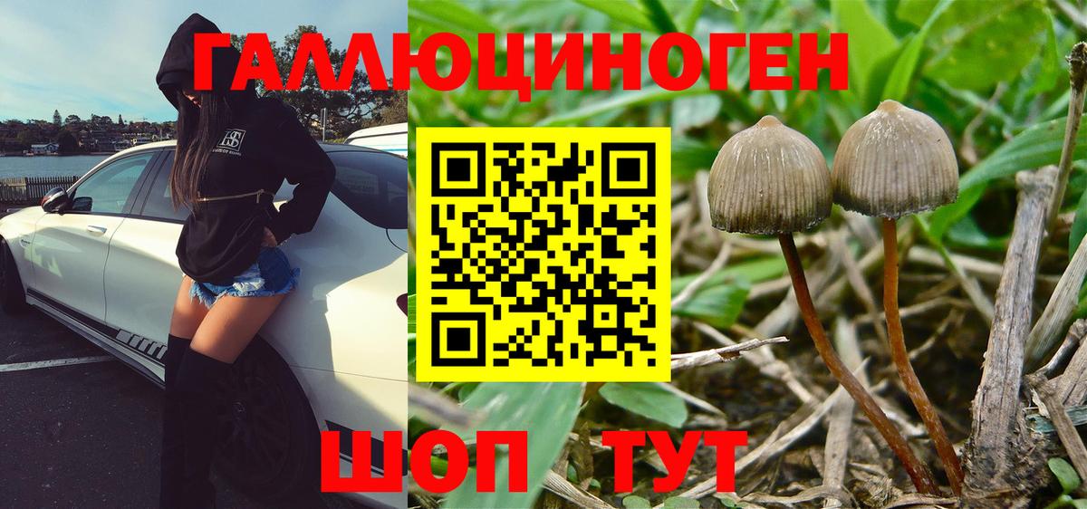 Галлюциногенные грибы GOLDEN TEACHER  Галлюциногенные грибы Psilocybe  закладка  Ливны  Вход с VPN 